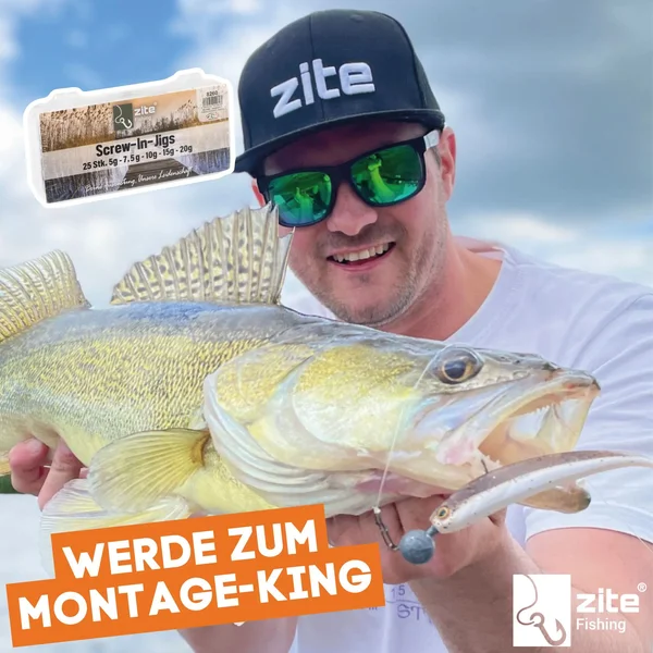 Zite Fishing Screw-In-Jigs Set 5-20g Blei 25 STK in Box Gummiköder Angeln Raubfisch_auswahl5