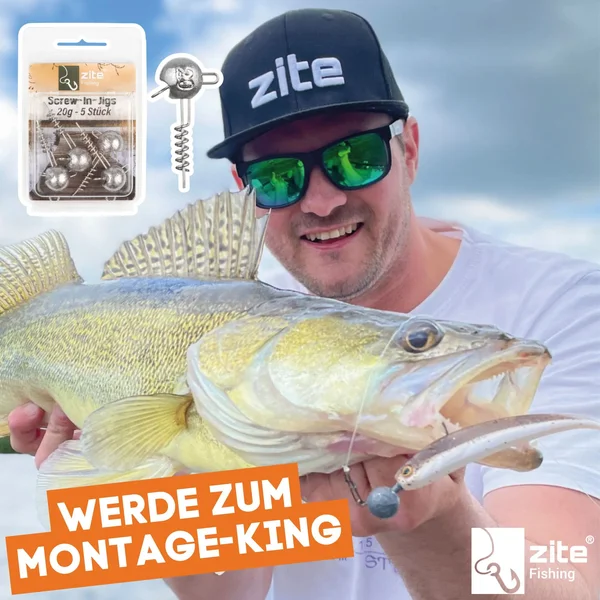Screw-In-Jigs 10g Jigköpfe Blei Gummiköder Angeln Raubfisch 5STK  _auswahl5