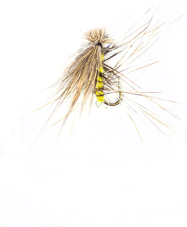 Zite Fishing Trockenfliegen Fliegenfischen Kder Set 8 Stck