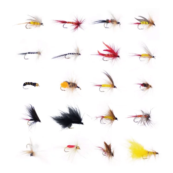 Fliegen Set Fliegenfischen 120 Stück in Box Zite Fishing_auswahl3