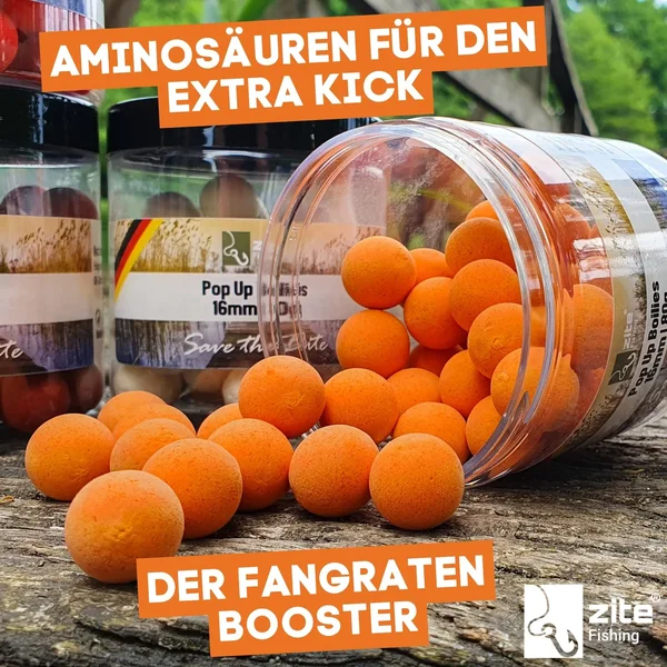 16mm Pop-Up Boilies mit Muschelaroma von Zite Fishing_auswahl3