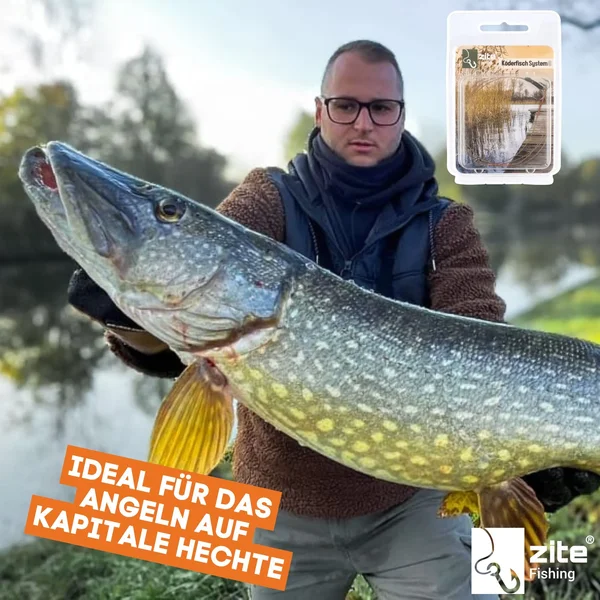 Zite Fishing Köderfisch Hecht System S für Köderfische 5 - 8 cm - Raubfisch Fertigmontage _auswahl5