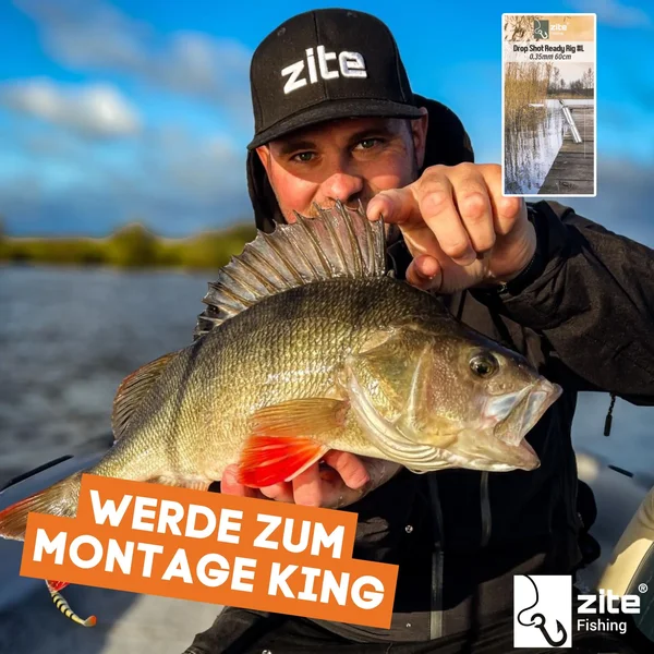 Zite Fishing Drop Shot Ready Rig #L mit 14g Blei, DS Haken & Fluorocarbon-Coated Vorfach-Schnur als Fertigmontage _auswahl6