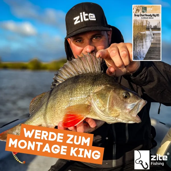 Zite Fishing Drop Shot Ready Rig #S mit 7g Blei, DS Haken & Fluorocarbon-Vorfachmaterial als Fertigmontage_auswahl6