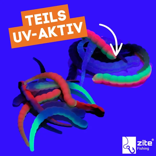 Curly Viper UL Forellen Gummiköder Starter-Set mit Rotationshaken Zite Fishing_auswahl2