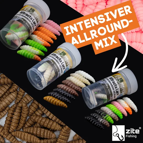 Zite Fishing Attracta Larv Passiv Starterset mit Bodentaster, Vorfachhaken, Karabinerwirbel und Gummiperlen Grundangeln _auswahl1