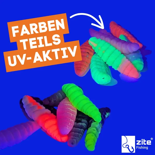 Zite Fishing Attracta Larv Passiv Starterset mit Bodentaster, Vorfachhaken, Karabinerwirbel und Gummiperlen Grundangeln _auswahl2