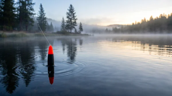 Zite Fishing Schlepp-Posen Slim Set 2g 3g 4g – Forellenposen mit Stabilisierungsflügel 3 Stück_auswahl6