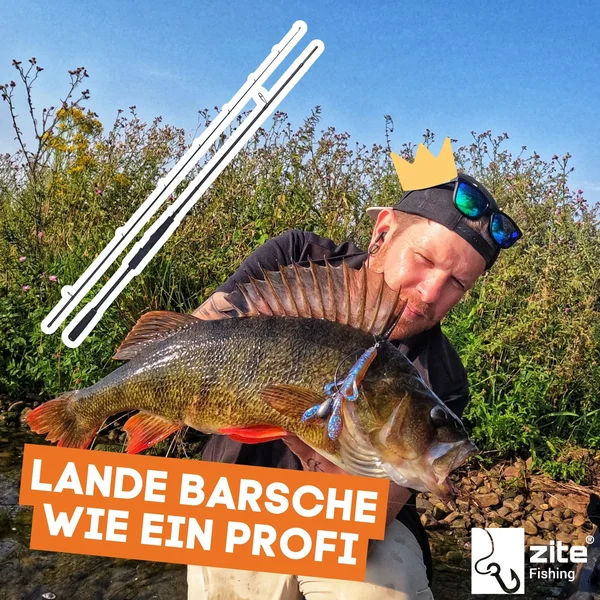 Inzite Pro Stick Perch 225 cm Spinnrute Barsch 5-20g Barschrute_auswahl8