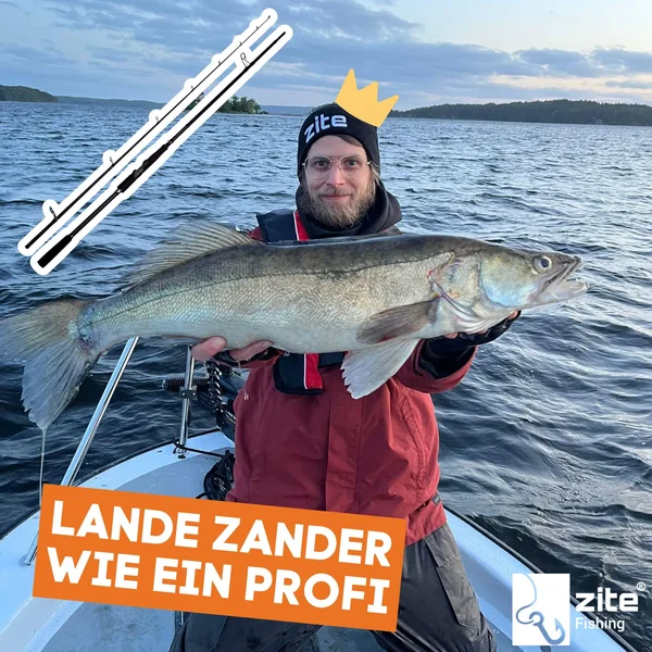 Inzite Pro Stick  Zander 255 cm Spinnrute Zander 15-55g Zanderrute_auswahl8