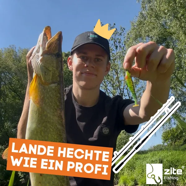 Inzite Pro Stick Pike 255 cm Spinnrute Hecht 30-85g Hechtrute_auswahl7