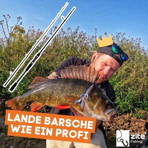 Inzite Base Stick Perch 225cm Spinnrute Barsch 5-20g Barschrute_auswahl7