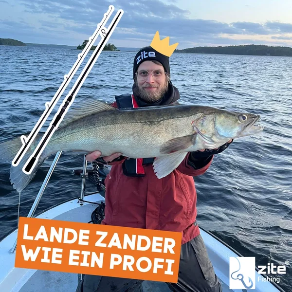 Inzite Base Stick Pike 255cm Spinnrute Hecht 30-85g Hechtrute_auswahl7