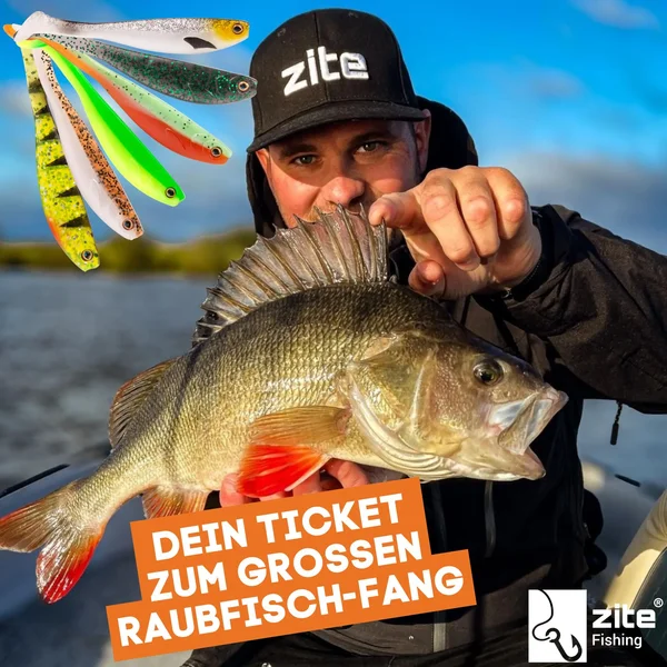 Gummifisch Starterset - Inzite Shad & Pershad je 3 Farben Gummiköder-Kombi für Zander & Barsch inkl. GRATIS Jighaken _auswahl6