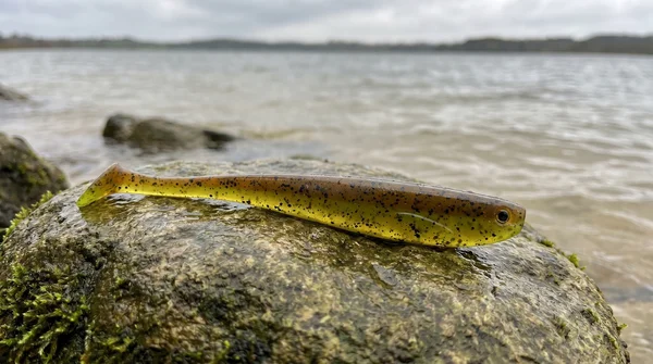 Inzite Shad Green Pumpkin 15,5 cm Gummifisch – UV-aktiv für Zander & Hecht – 4 Stück_auswahl1