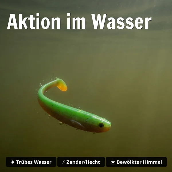 Inzite Shad Green Tomato 15,5 cm – Gummifisch für Zander & Hecht 4 Stück_auswahl3