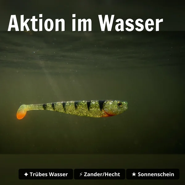 Inzite Shad Lightning Perch 15,5 cm Gummifisch 4 Stück – UV-aktiv für Zander & Hecht_auswahl3