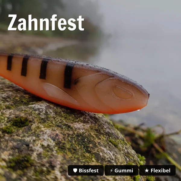 Zite Fishing XL Inzite Flanker Gummifisch Barbeque Otto 23,5 cm – Großhecht Köder im 2er Pack_auswahl4