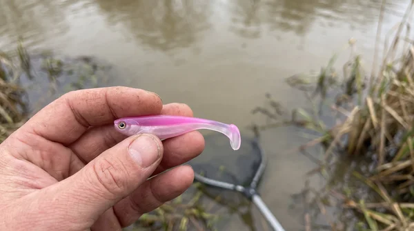Zite Fishing Inzite Pershad Pink Blush Gummiköder 8 cm – 7 Stück Softbait für Barsch, Zander & Hecht_auswahl5