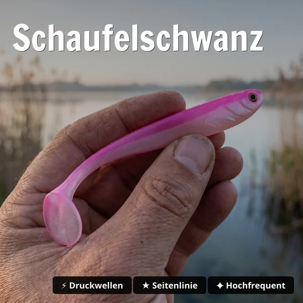 Zite Fishing Inzite Shad Pink Blush 12 cm 5 Stück – Gummifisch für Zander_auswahl3