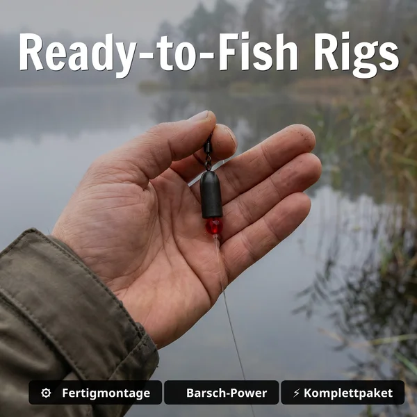 Zite Fishing Ultimative Starterbox Barsch – Komplettset mit Gummifischen, Rigs & Jigspinner_auswahl3