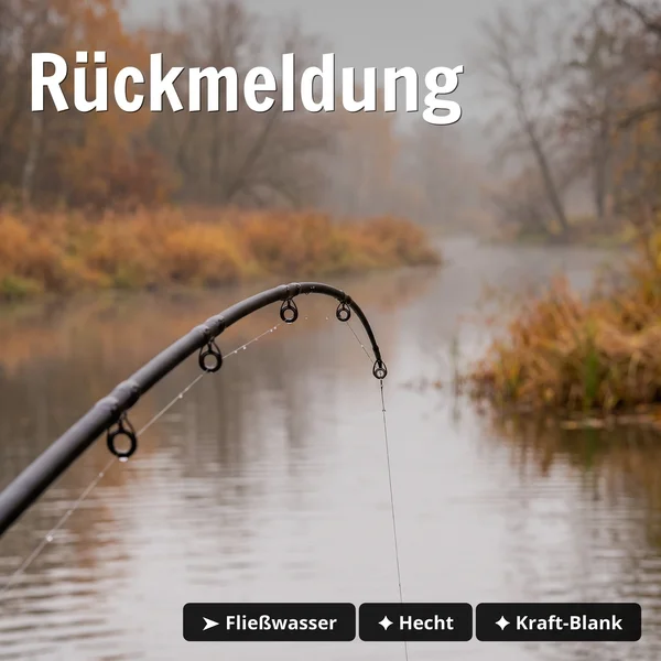 Zite Fishing Inzite Pro Stick Pike XL 255 - Big-Bait-Spinnrute 80-150g für Hecht & Raubfisch_auswahl4