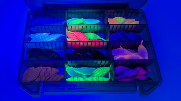Big Bug Starterbox – 60 Gummiköder in 12 Farben, Forellen Set mit Tackle-Box, UV-aktiv, Ultra-Light_auswahl5