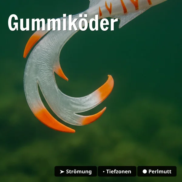 Zite Fishing Jighaken mit Gummiköder 15 cm Set – 5/0 Jigheads & Balzer Shirasu Reptile Shad Albino für Hecht & Zander_auswahl4