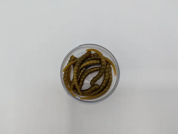 Zite Fishing Curly Viper Golden Olive 6,5 cm – Forellenköder Limited Edition, Dose mit 8+4 Stück GRATIS_auswahl3