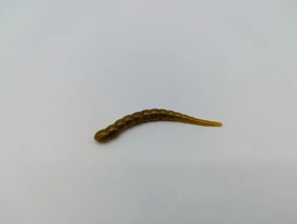 Zite Fishing Curly Viper Golden Olive 6,5 cm – Forellenköder Limited Edition, Dose mit 8+4 Stück GRATIS_auswahl4