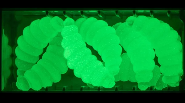 Special Glow Edition Big Mag Knoblauch 3 cm 10 Stück Forellen-Gummimaden_auswahl5