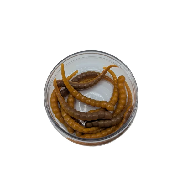 Curly Viper Caramel Pumpkin 6,5 cm – Forellenköder Limited Edition, Dose mit 8+4 Stück GRATIS_auswahl1