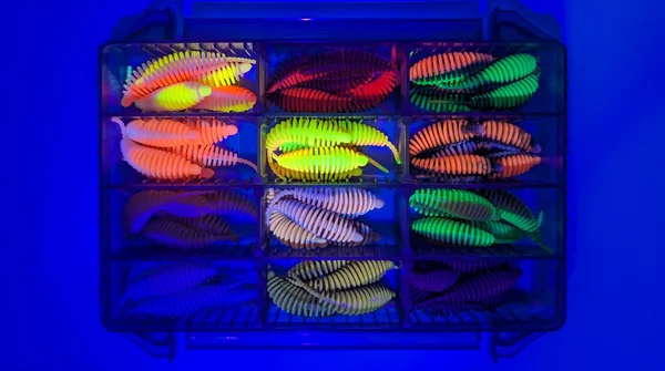 Bomba Starterbox – 60 Forellen Gummiköder, 5,8 cm, 12 Farben, UV-aktiv, phthalatfrei_auswahl5