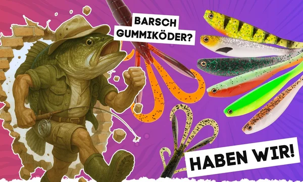 Hero Image barschköder
