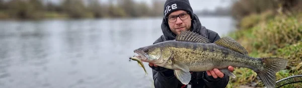 Angler mit kapitalem Zander — Zite Fishing Deals