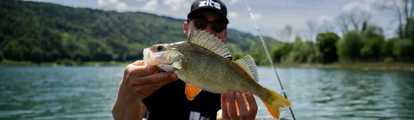 Frische Köder aus der Box — die Neuheiten von Zite Fishing
