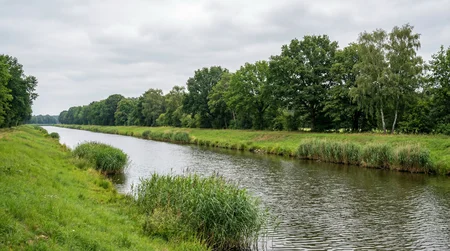Weißfische fangen am Kanal ohne teure Rolle und Ausrüstung