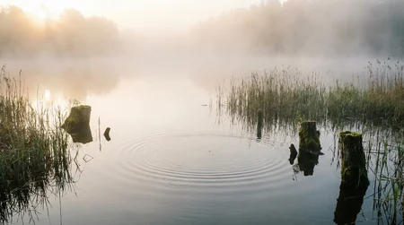 Langsam sinkender Wobbler oder flachlaufender Wobbler für Barsch: Die perfekte Wahl