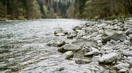 Vor- und Nachteile von Tiroler Hölzl bei steinigem Untergrund