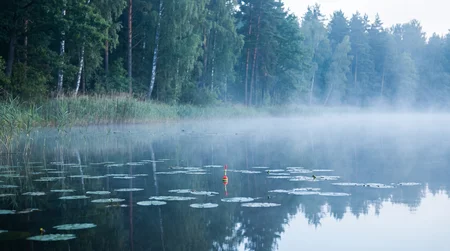 Welche Pose für Hecht mit Köderfisch? Der ultimative Ratgeber