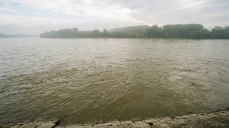 Beste Zander Köder für trübes Wasser im Fluss: Die ultimative Auswahl