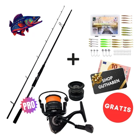 Zander Pro Komplettset - Inzite Pro Stick Zander, Spinnig Reel Pro 3000 bespult & GRATIS Zubehör 