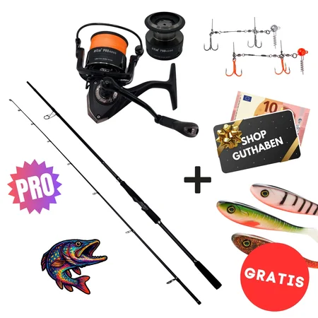 Hecht Pro Komplettset - Inzite Pro Stick Hecht, Spinnig Reel Pro 4000 bespult & GRATIS Zubehör