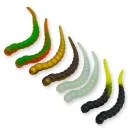 Curly Viper