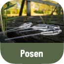 Posen