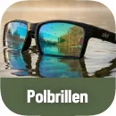 Polbrillen