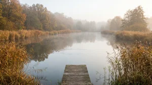 Wo stehen Forellen im Forellenteich? Die besten Spots