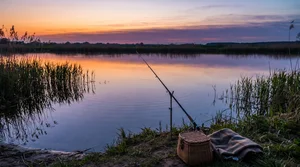 Beste Zeit Zander zu angeln: Beißzeiten &amp; Saison-Guide