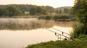 Laufblei montieren: Anleitung für Friedfisch-Angler