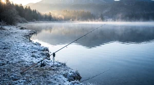 Beste Gummiköder Größe Forellen Winter | Tipps &amp; Tricks